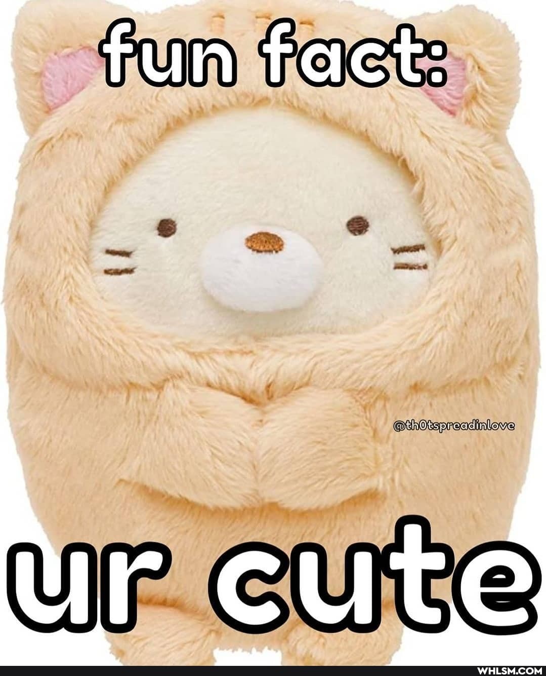 fun fact:
UP cute