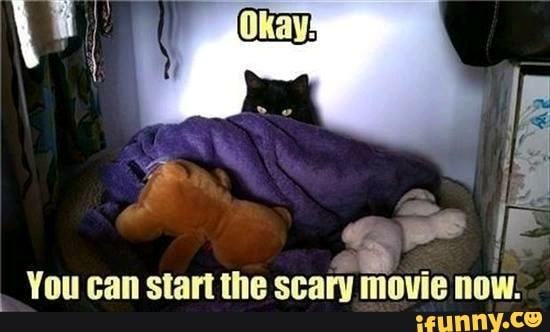 You can start the scary movie now.