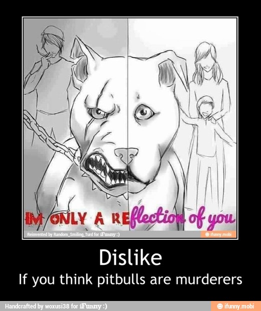 If you think pitbulls are murderers - Dislike
If you think pitbulls are murderers