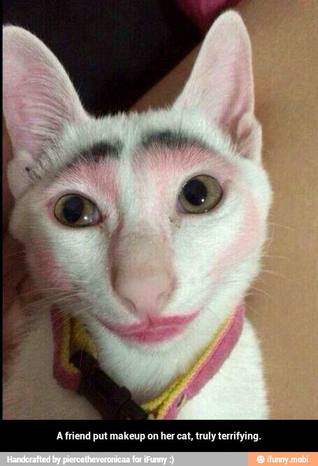 A friend put makeup on her cat, truly terrifying. - A friend put makeup on her cat, truly terrifying.