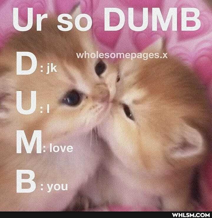 Ur so DUMB love