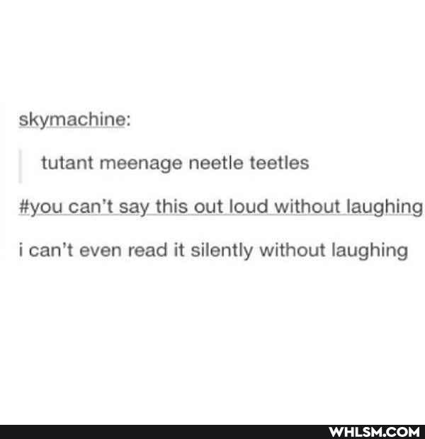 skymachine: tutant meenage neetle teetles
#you can't say this out loud without laughing
i can't even read it silently without laughing