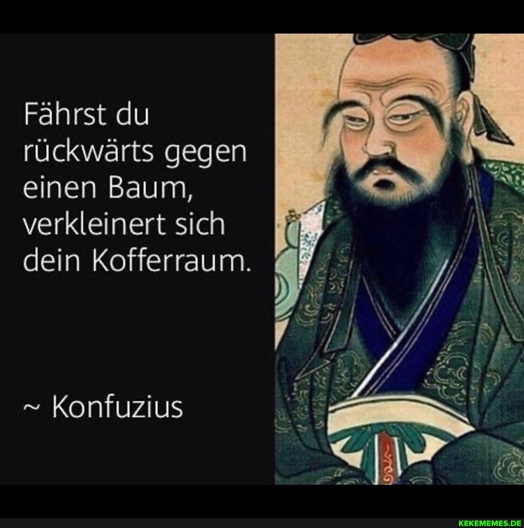 Fährst du rückwärts gegen einen Baum, verkleinert sich dein Kofferraum.
" Konfuzius