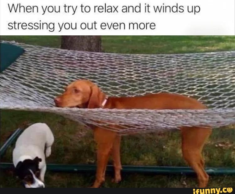 When you try to relax and it winds up
stressing you out even more
