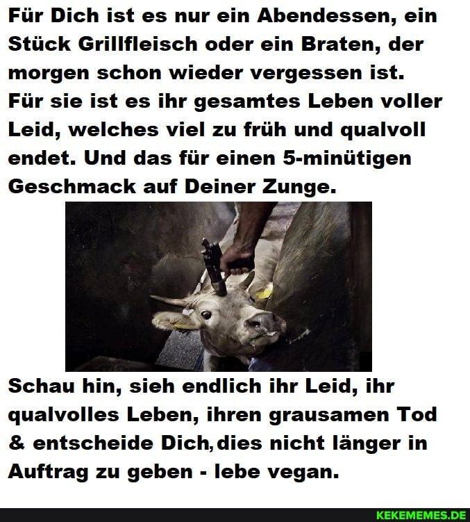 Für Dich ist es nur ein Abendessen, ein
Stück Grillfleisch oder ein Braten, der morgen schon wieder vergessen ist.
Für sie ist es ihr gesamtes Leben voller
Leid, welches viel zu früh und qualvoll endet. Und das für einen 5-minütigen
Geschmack auf Deiner Zunge.
Schau hin, sieh endlich ihr Leid, ihr qualvolles Leben, ihren grausamen Tod
& entscheide Dich, dies nicht länger in
Auftrag zu geben - lebe vegan.