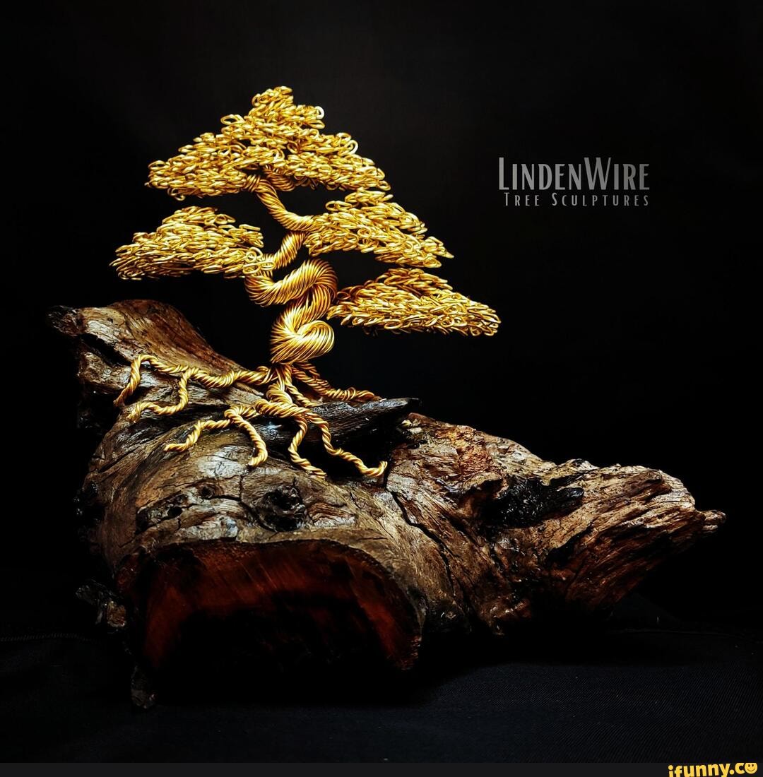 Bonsai_tree memes. Best Collection of funny Bonsai_tree pictures on iFunny