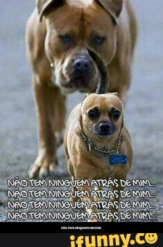 não tem ninguem mesmo