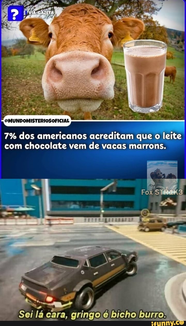EMUNDOMISTERIOSOFICIAL
7% dos americanos acreditam que o leite com chocolate vem de vacas marrons.
Sei lá cara, gringo é bicho burro.