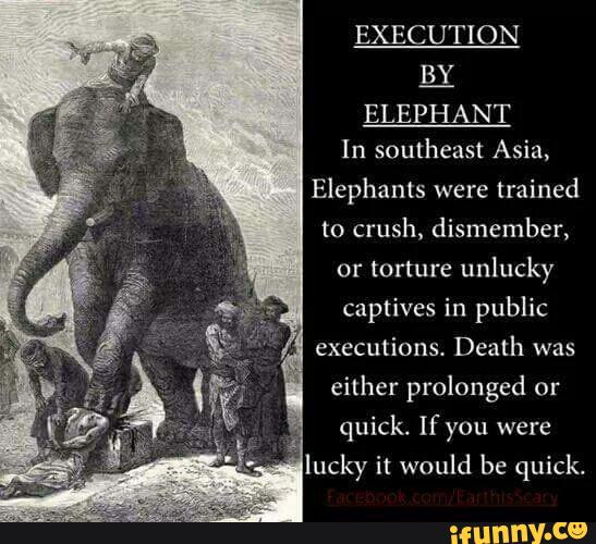 EXECUTION BY ELEPHANT In southeast Asia, Elephants were trained to
