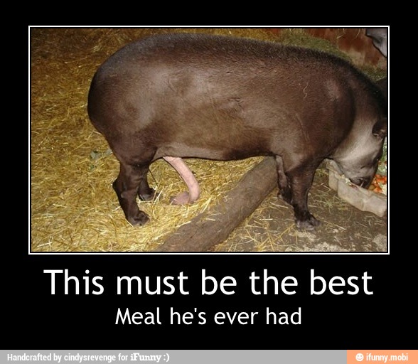 This must be the best
Meal he's ever had - This must be the best
Meal he's ever had