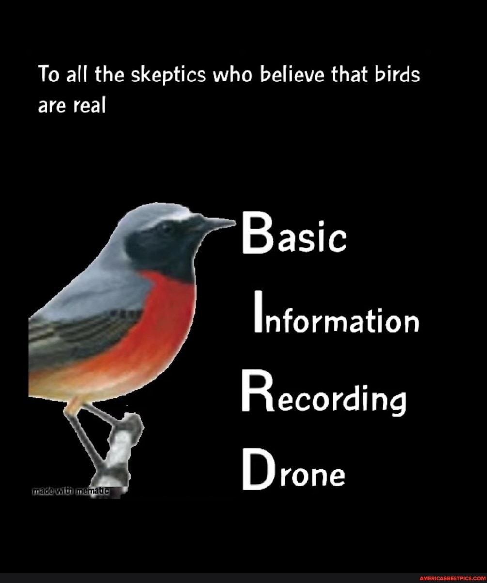 basic information recording drone