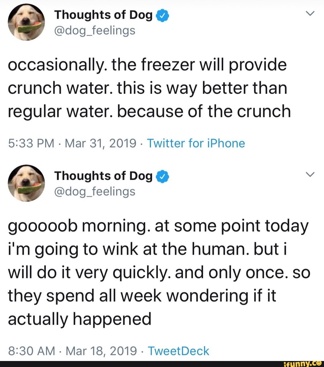 occasionally. the freezer will provide
crunch water. this is way better than
regular water. because of the crunch
5:33 PM
-
Mar 31, 2019
-
Twitter for iPhone
gooooob morning. at some point today
i'm going to wink at the human. but i
will do it very quickly. and only once. so
they spend all week wondering if it
actually happened
8330 AM
~
Mar 18, 2019
-
TweetDeck