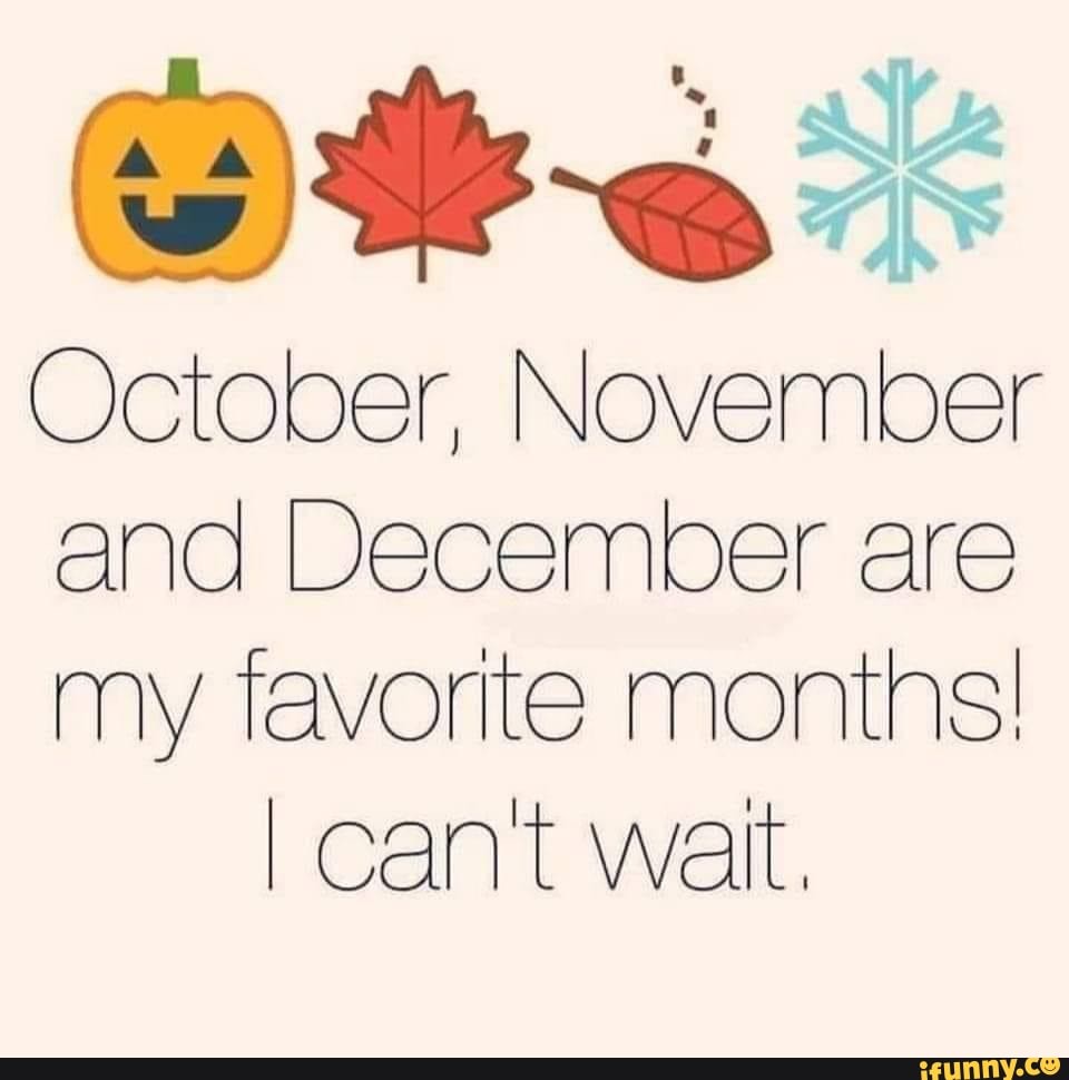 october-november-and-december-are-my-favorite-montns-can-t-wait-ifunny