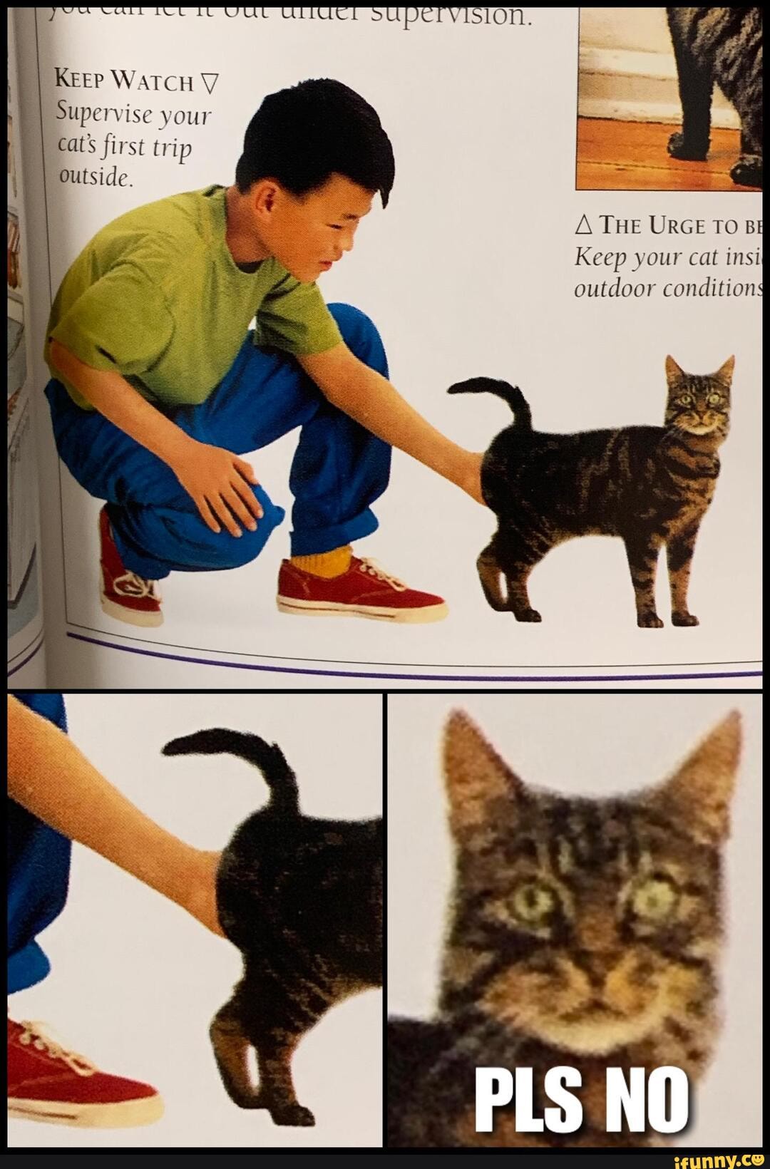 weKEEP WATCH VV Supervise your cat' first trip
Outside.
THE URGE TO BH Keep your cat insi outdoor condition$