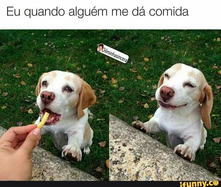 Eu quando alguém me dá comida