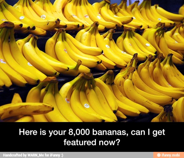 Here is your 8,000 bananas, can I get
featured now? - Here is your 8,000 bananas, can I get featured now?