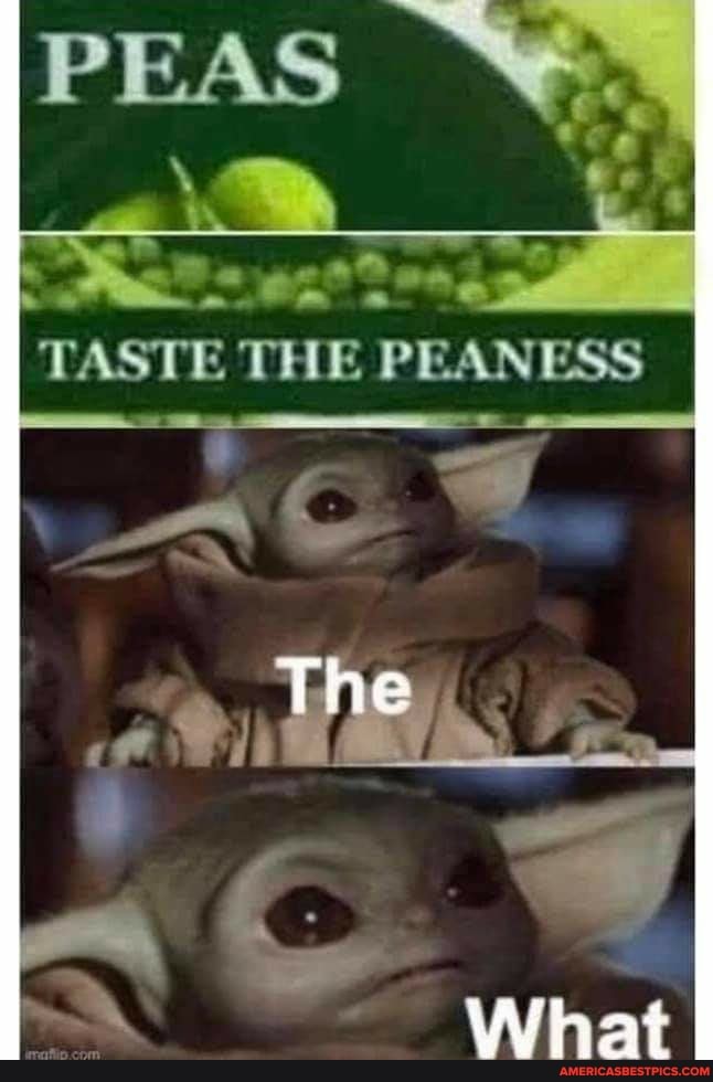 TASTE PRAI INES
The
Wihai