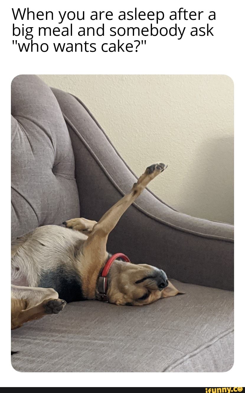 When you are asleep after a
big meal and somebody ask
"who wants cake?"