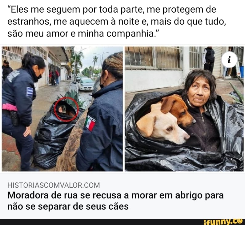 "Eles me seguem por toda parte, me protegem de estranhos, me aquecem à noite e, mais do que tudo, são meu amor e minha companhia."
Moradora de rua se recusa a morar em abrigo para não se separar de seus cães
