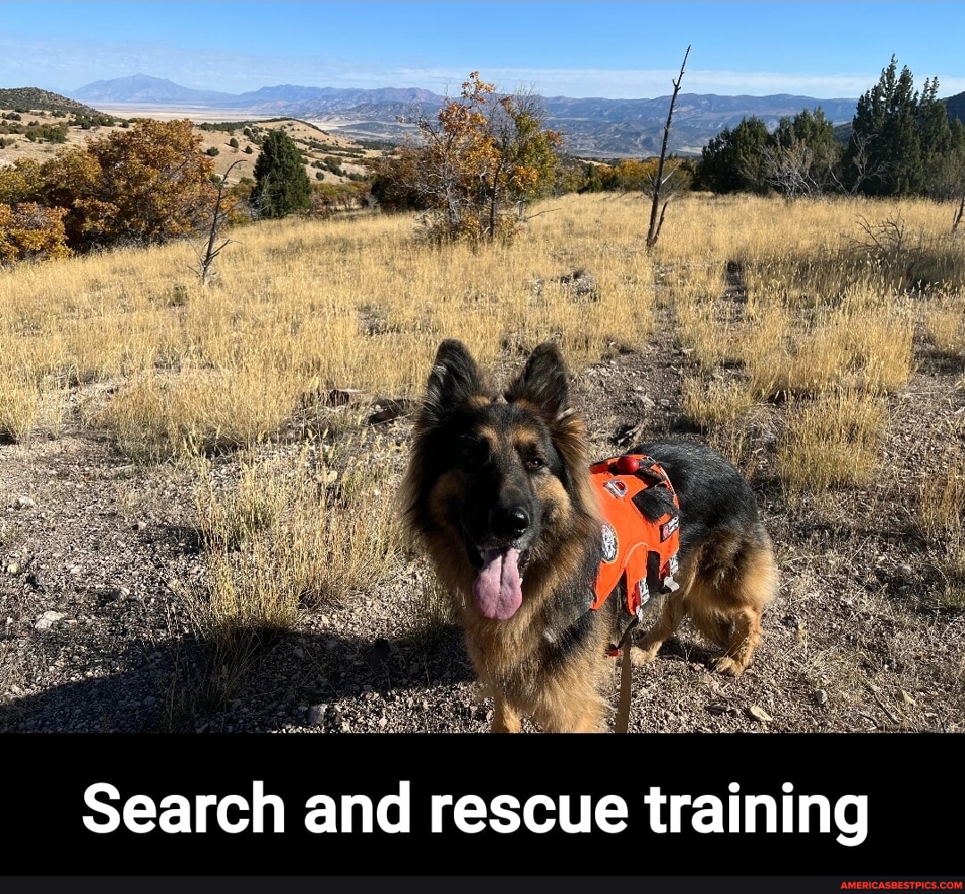 Search and rescue training america s best pics and videos