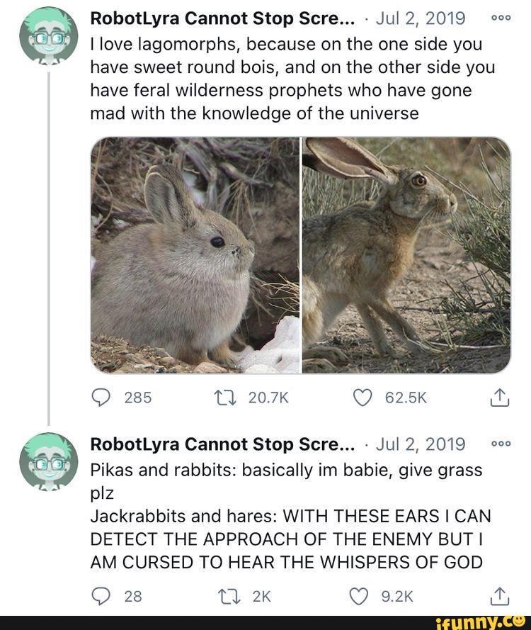 RobotLyra Cannot Stop Sere... Jul 2, 2019 love lagomorphs, because on