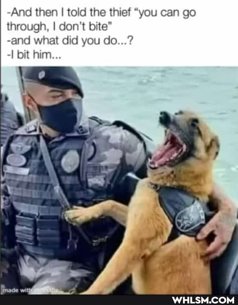 -And then I told the thief "you can go through, I don't bite"
-and what did you do...?
-I bit him...