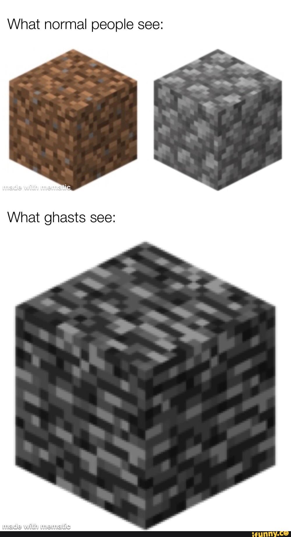 What normal people see What ghasts see iFunny