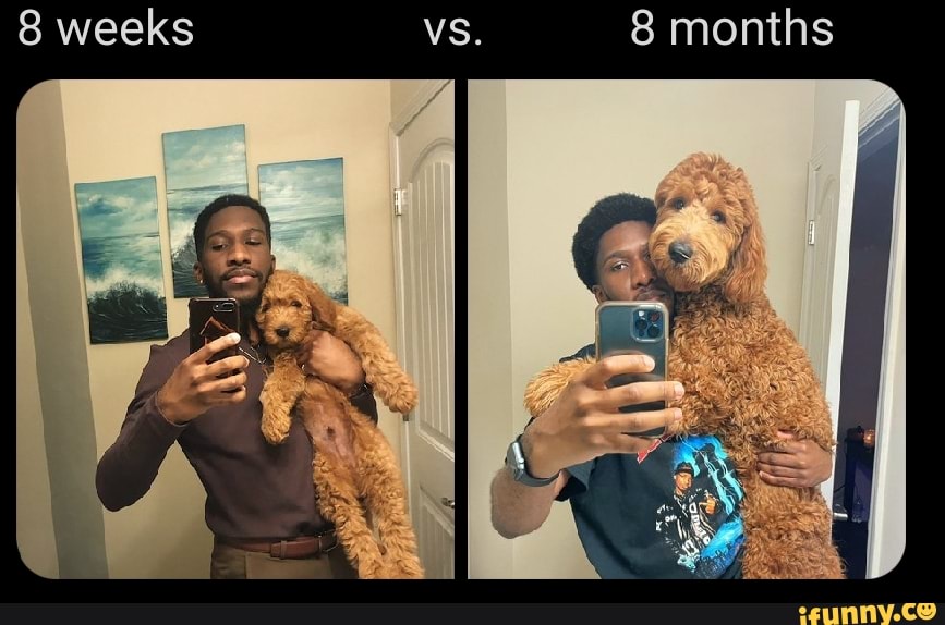weeks VS. months
