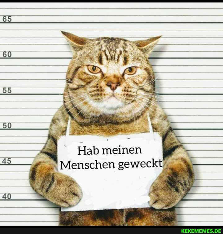 Hab meinen
Menschen geweckt!