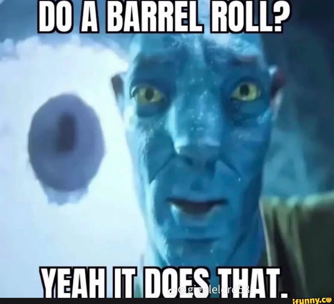 Do a Barrel Roll  Barrel roll, Youre doing it wrong, Funny meme pictures