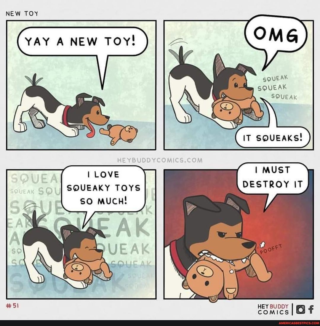 NEW TOY
YAY NEW Toy!
I LOVE SQUEAKY TOYS so MUCH!
SQUEAK SQUEAK SQUEAK
IT
I MUST DESTROY IT
HEY BUDDY I