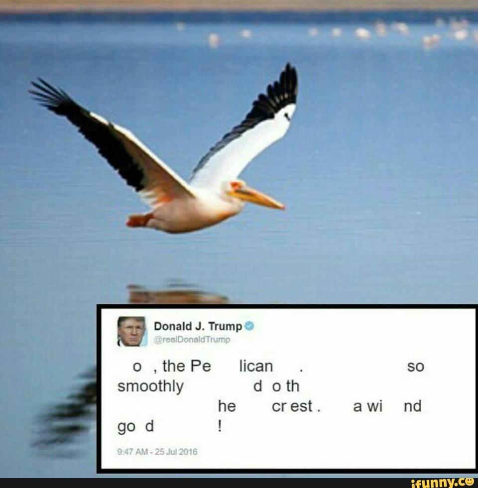 Donald J. Trump
the Pe
go
smoothly d oth
he crest. a wi