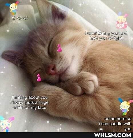 come here so ican cuddle with