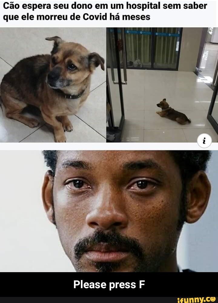 Cão espera seu dono em um hospital sem saber
que ele morreu de Covid há meses - Please press F
