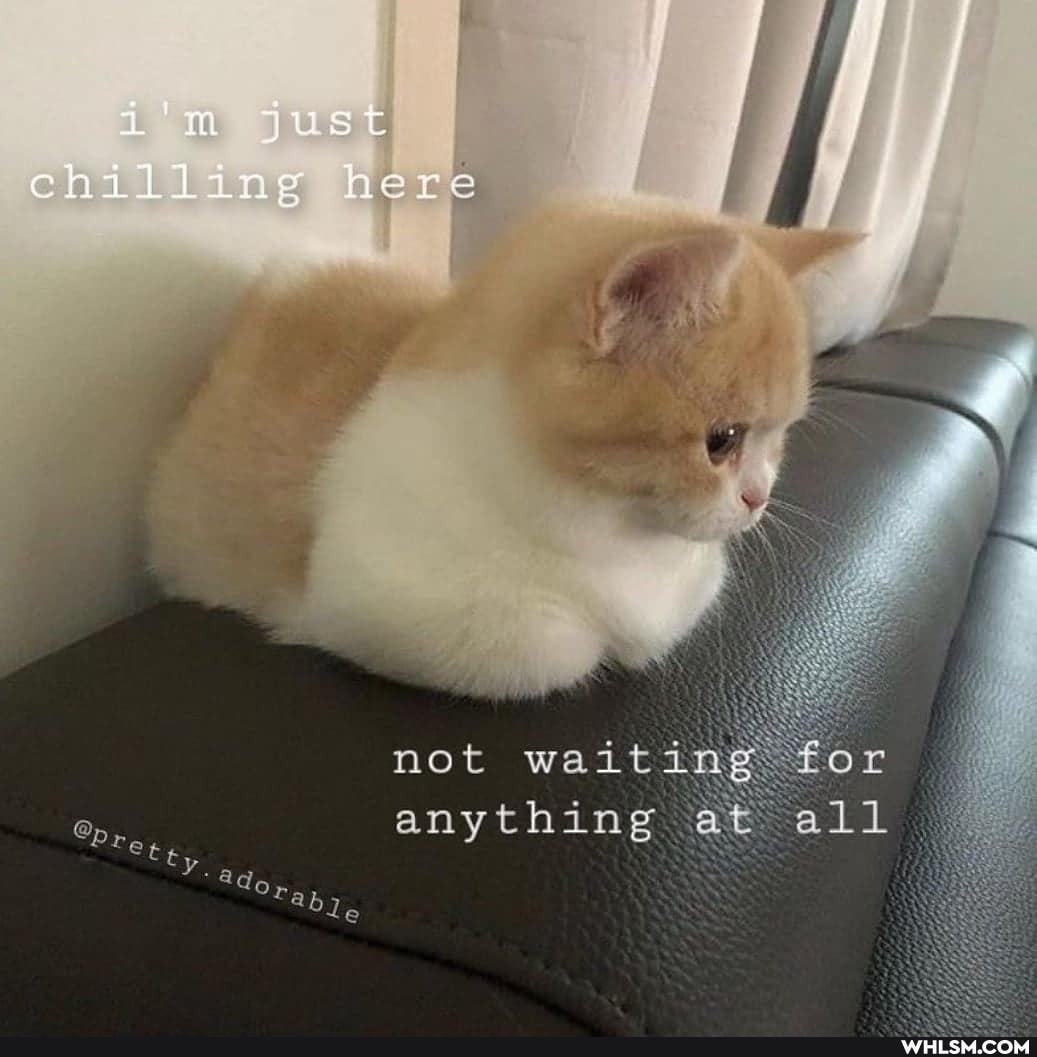 SC
chal ng her
not wait anything at all