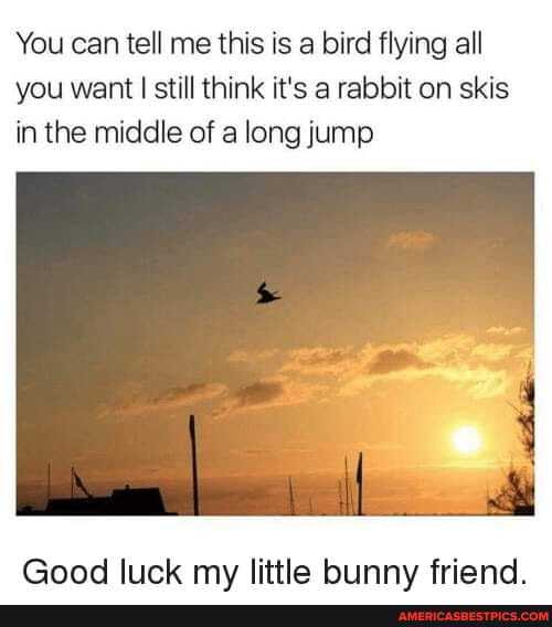 You can tell me this is a bird flying all you want still think it's a rabbit on skis in the middle of a long jump
lite