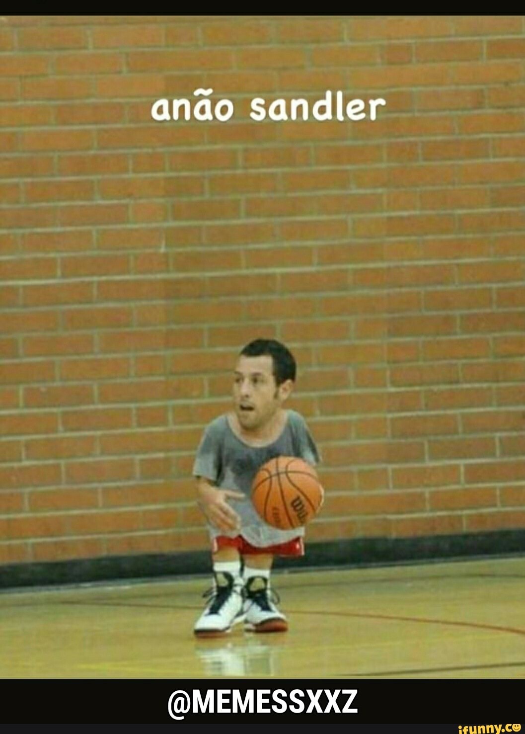 anão sandler