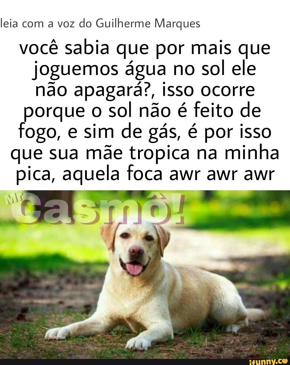 leia com a voz
do Guilherme Marques
você sabia que por mais que
joguemos água no
sol ele
não apagará?, isso ocorre
porque o
sol não é feito de
fogo, e sim de gás, é por isso
que sua mãe tropica na
minha
pica, aquela foca awr awr awr