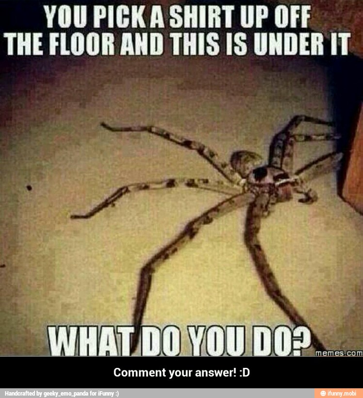 YOU PICK A SHIRT UP OFF
THE FLOOR AND THIS IS UNDER IT
Comment your answer! :D - Comment your answer! :D