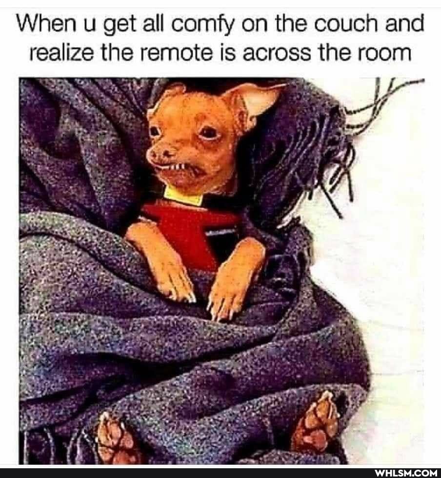 When u get all comfy on the couch and realize the remote is across the room