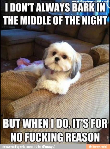 1 DON'T ALWAYS BARK (1)
THE MIDDLE OF THE NIGHT