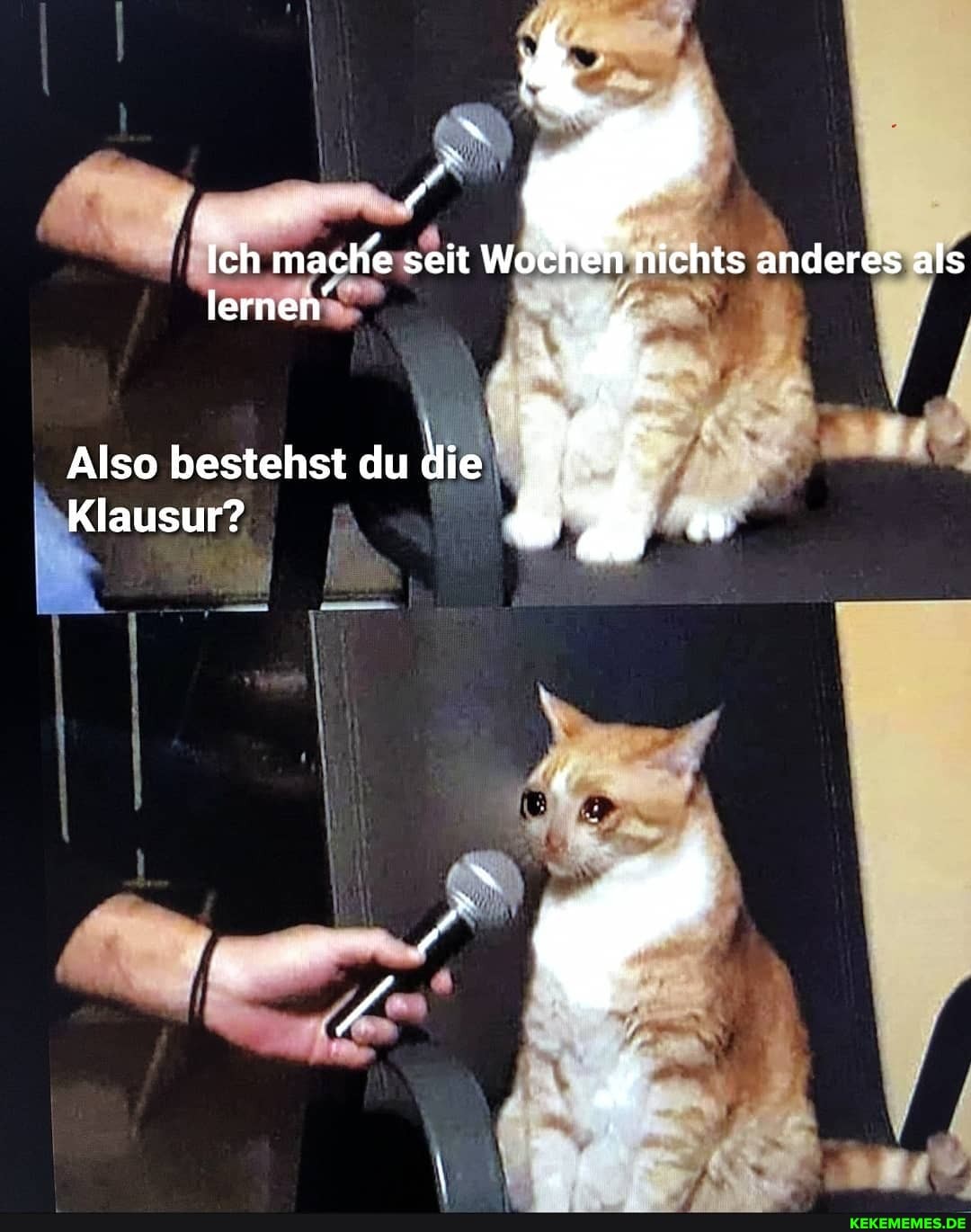 Ich mache seit Wochen nichts anderes als lernen"
Also bestehst du die
Klausur?