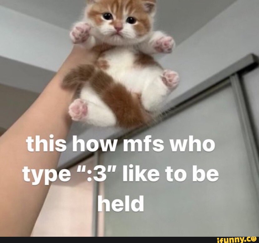 this-how-mfs-who-type-3-like-to-be-held-ifunny