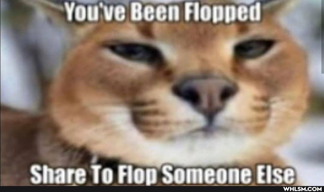 ve Been Flopped
Share Ta Samenne