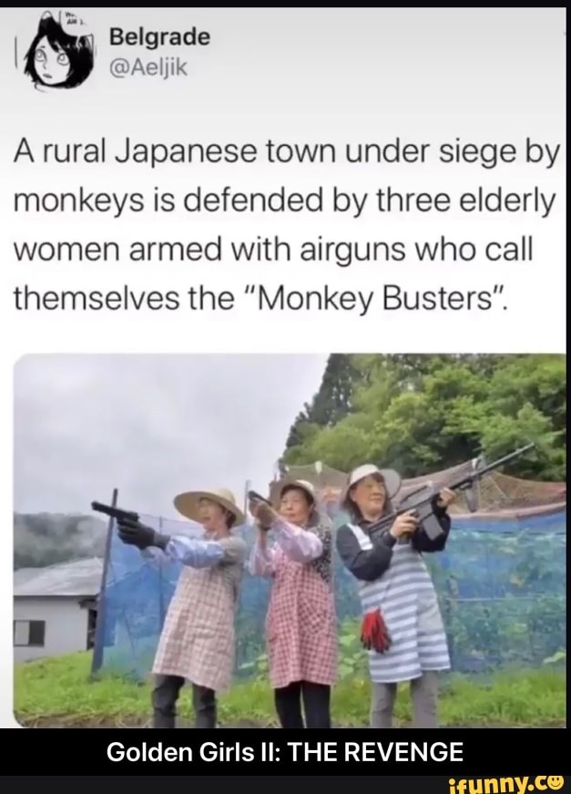 Belgrade
A rural Japanese town under siege by monkeys is defended by three elderly women armed with airguns who call
themselves the "Monkey Busters".
Golden Girls Il: THE REVENGE - Golden Girls II: THE REVENGE