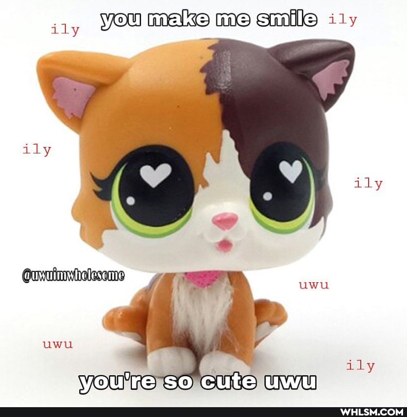 ily
YOUS SO
you male me smile ily