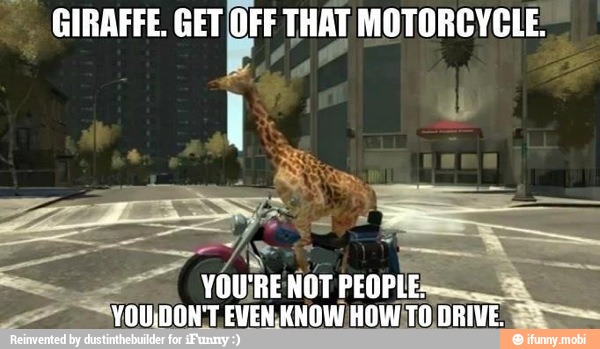 GIRAFFE. an THAT MOTORCYCLE!