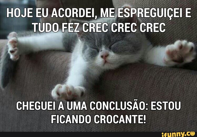 CHEGUEI À UMA CONCLUSÃO: ESTOU
FICANDO CROCANTE!
