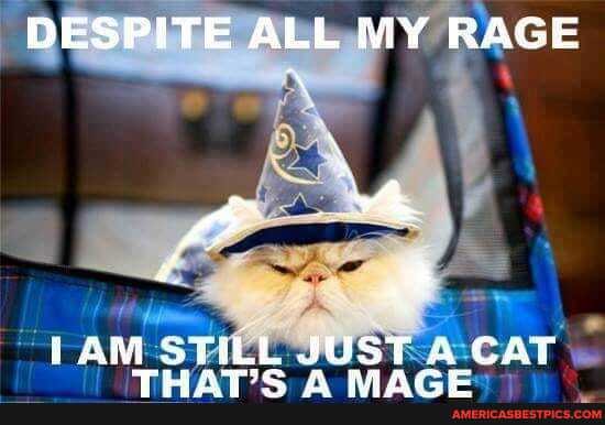 DESPITE ALL MY RAGE
AM STi L JUST CAT