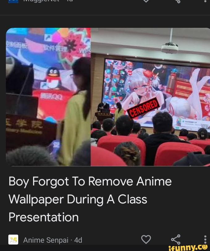 863 Wallpaper Removal Meme Images My